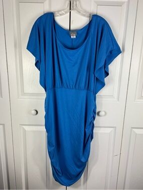 Dots Women's Ruched Doleman Sleeve Dress Blue Size 2X